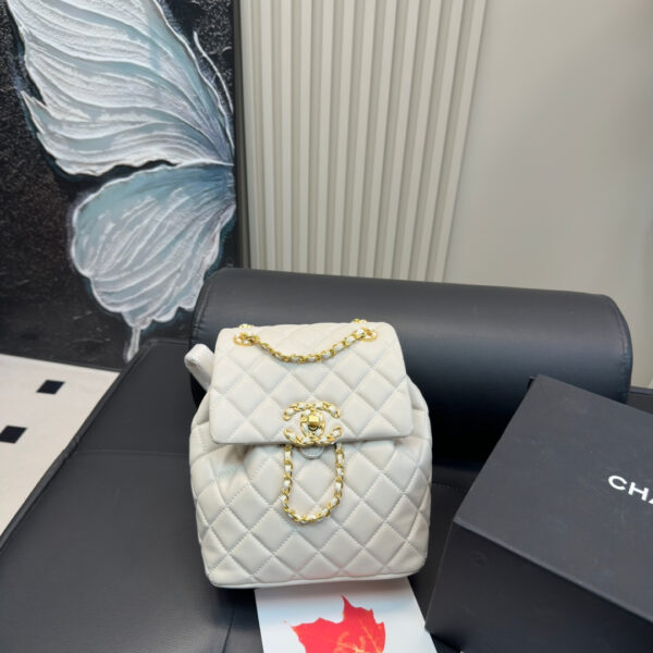 シャネル(Chanel) 24P リュック バッグ 20X23mm