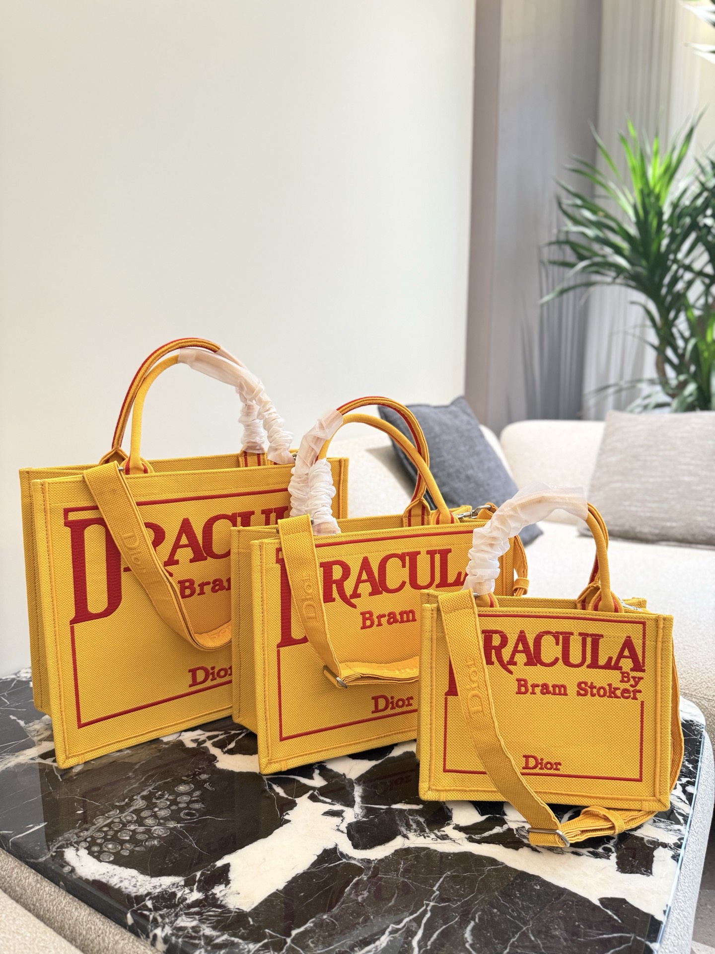 ディオール(Dior) CD Booktote 2025 新作 バッグ